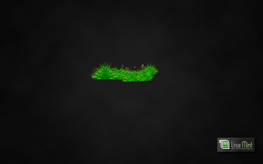 1172568 (a): :1920x1200